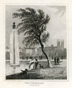 Fountain, Green Park av Unbekannt