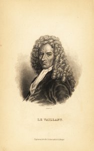 Francois le Vaillant eller Levaillant, fransk forfatter, oppdagelsesreisende, naturforsker og ornitolog av Unbekannt