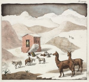 Guanacos, hulenes dal, Andesfjellene, Chile av Unbekannter Künstler
