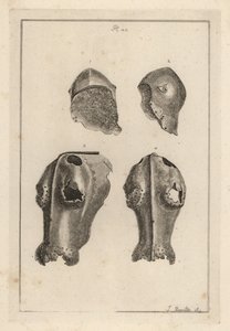 Hjelm 1,2 og jernkanfron eller chafron 3,4 som tilhørte Guy, Earl of Warwick av Unbekannt