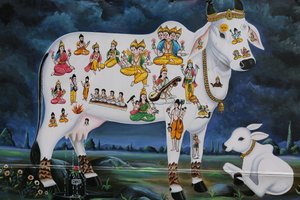 Hinduisk maleri. Hellig ku og kalv. India av Unbekannt