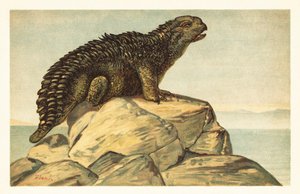 Hylaeosaurus armatus , utdødd planteetende ankylosaurisk dinosaur 1908 (litografi) av Unbekannter Künstler