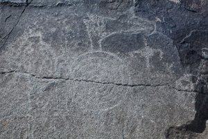 Indiske helleristninger - Dyre- og symbolsk representasjon - Petroglyph National Monument - Albuquerque, New Mexico, USA (USA) av William M. Timlin