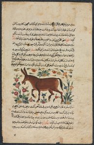 Annet (funnet), fra en nezhantami-besetning (utmerket bok om vi kommer) fra Shahmarda Ibn Abi al-Khair av Unbekannt