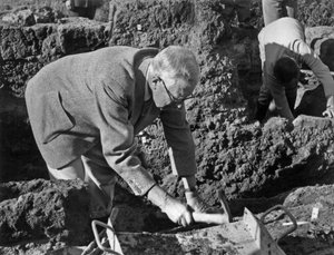 Kong Gustave av Sverige av Unbekannt