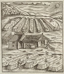 Tilberedning av salpeter - Gravering hentet fra Description des ores et des main methods de exploitation miniere, av Lazarus Ecker av Unbekannt