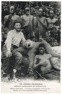 Den løvehodede cynocephalic ape, ca. 1910 (litho) av Unbekannt