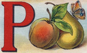 Bokstaven P som fersken, pære og sommerfugl. Gravering i "Alphabet de ma petite fille". Bernardin-Bechet og Fils, bokhandler-forlag, Paris, rundt 1895. Ubrytelig album på lerret. Bibliotheque des Bebes. 12 sider. Album som inneholder en lesemetode og en av Unbekannt