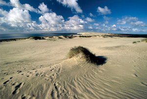 Litauen, Klaipeda, Curonian Spit, Nida, bevegelige sanddyner kalt prøyssisk Sahara av William M. Timlin