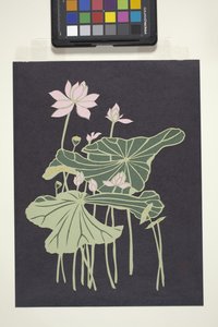 Lotus (flerfarget kuttet papir) av Unbekannter Künstler
