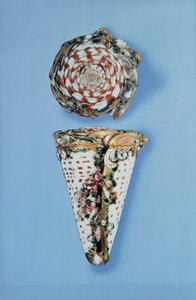 Louis XV snusbokser i gull i form av skjell av B.Sagaret, Paris (1715-74) av Unbekannt