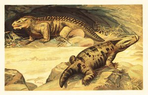 Mastodonsaurus og Pareiasaurus.1908 (litografi) av Unbekannter Künstler