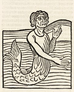 Merman av Unbekannt