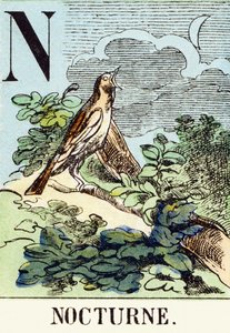 N : Nocturne - The Hunting Alphabet, ca. 1890 (gravering) av Unbekannt