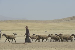 Nomadetelt mellom Tamar og Ashkhaneh, Iran 2022 (fotografi) av Unbekannter Künstler