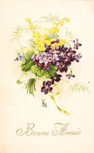 Gammelt postkort/Violet og Mimosa av Unbekannt