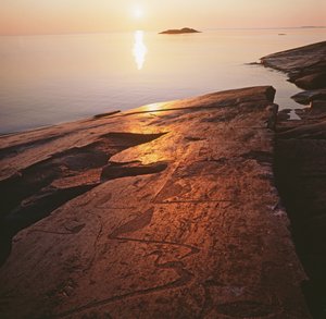 Onego helleristninger som viser svaner (bilde) av Unbekannt