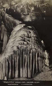 Orgelpiper, Goughs Cave, Cheddar (s/hvitt-bilde) av Unbekannt