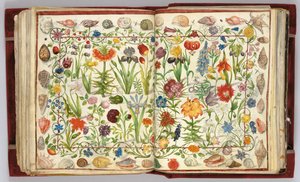Sider fra albumet Amicorum av Philipp Hainhofer, 1596-1633 av Unbekannt