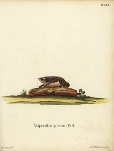  av Unbekannter Künstler