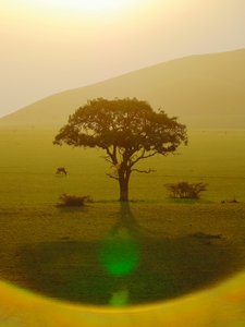 Paradis etter regnet, Chyulu Hills, 2018 (fotografi) av Unbekannter Künstler