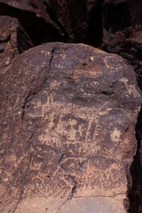 Petroglyphs som viser dyr og karakterer - Petroglyph National Monument - Albuquerque, New Mexico, USA (USA) av William M. Timlin