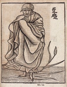 Portrett av Bodhidharma (v av Unbekannt