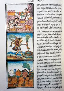 Behandling av fjær, tekst på Nahuati, fra faksimile av manuskript General History of Things of New Spain, også kjent som Florentine Codex, av Bernardino de Sahagun av William M. Timlin