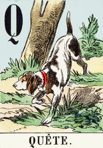 Q : Quete - AThe Hunting Alphabet, ca. 1890 (gravering) av Unbekannt