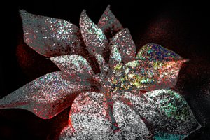 Rainbow julestjerne for min kjære, 2017 (ommalt fotografi) av Unbekannter Künstler