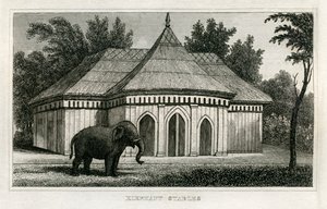 Regent's Park Zoo av Unbekannt