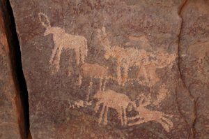 Bergkunst, forhistorie: Gravering av et sett med antiloper og en hund (nederst til høyre) i Uweinat-massivet, Egypt. (Periode fra 8000 til 3000 år f.Kr.). Fotografering av Unbekannt