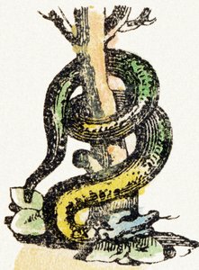 S - Serpent - Child Entertainment Alphabet ca. 1890 (litografi) av Unbekannt