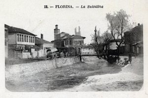 Serbia, Florina (dagens Hellas): utsikt over Sukulina - Postkort 1914-1918 av William M. Timlin