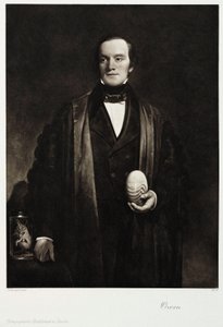 Sir Richard Owen, engelsk naturforsker og paleontolog, ca 1845 av Unbekannt