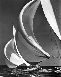 Spinakers On Racing Sailboats (s/hvitt bilde)