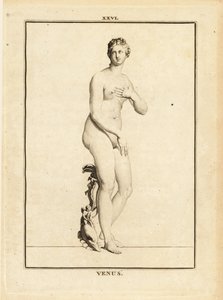 Statue av Venus, romersk gudinne for kjærlighet, skjønnhet, sex og fruktbarhet av Unbekannt