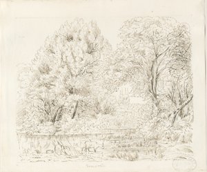 Tamworth - Rural View: blekktegning, og [1800-tallet] av Unbekannt