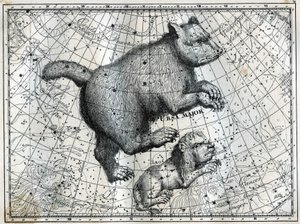 De boreale stjernebildene: den store bjørnen og den lille løven. Gravering fra Camille Flammarions "The Stars and Other Curiosities of the Sky" av Unbekannt