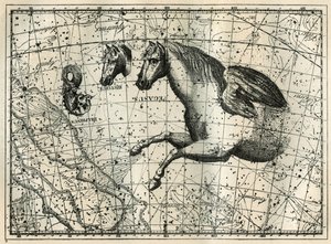 Konstellasjonen Pegase, tegner som anterieure-halvdelen av en hest med et par vinger, den lille hesten, et hestehode og delfinen. Gravering fra «Les étoiles et les autres curiosites du ciel» av Camille Flammarion av Unbekannt