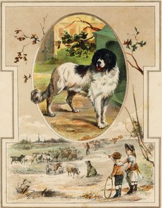 Hunden. Gravering i "Mon premier Grand Alphabet". Bernardin-Bechet Edition, Paris, ca 1890. Illustrasjoner av A. des Lilleuls. Ingen side, 46 sider. Mål: 31x22 cm. av Unbekannt