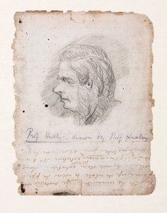 Thomas Henry Huxley , engelsk biolog, midten av slutten av 1800-tallet av Unbekannt