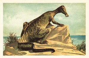 Trachodon mirabilis, utdødd hadrosaurad dinosaur.1908 (litografi) av Unbekannter Künstler