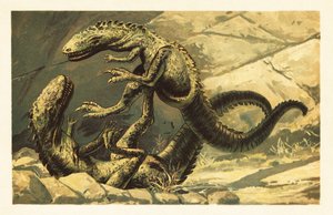 To kjempende Dryptosaurus aquilunguis.1908 (litografi) av Unbekannter Künstler