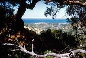 Utsikt over Middelhavet, Kabylia, Algerie av Unbekannter Künstler