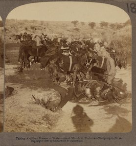 Vanning av artillerihester, Welgelegen, Sør-Afrika av Underwood and Underwood