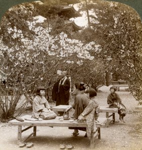En familie som nyter en piknik under kirsebærblomstene, Omuro Gosho, Kyoto, Japan, 1904. av Underwood and Underwood
