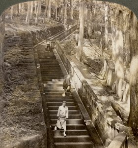 Gammel steintrapp opp bakken til graven til Shogun Ieyasu, Nikko, Japan, 1904. av Underwood and Underwood