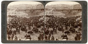 Storfemarkedsdag, i det nedre bassenget i Gihon, Hinnom-dalen, Jerusalem, Palestina, 1900. av Underwood and Underwood