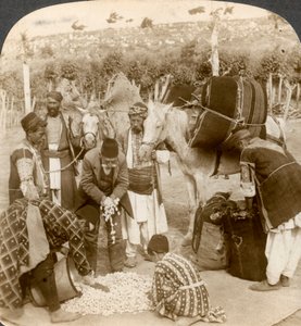 Eksperter som kjøper silkekokonger for eksport til Frankrike, Antiokia, Syria, 1900-tallet. av Underwood and Underwood